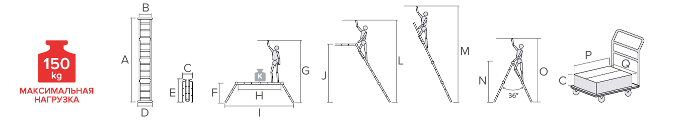 Schema: Multipurpose aluminum professional hinged rung ladder 500 mm width NV3321